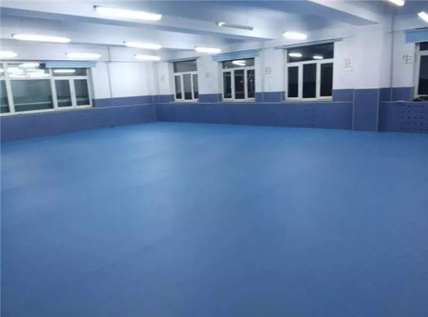 哈尔滨经济技术学院运动地板 (1)